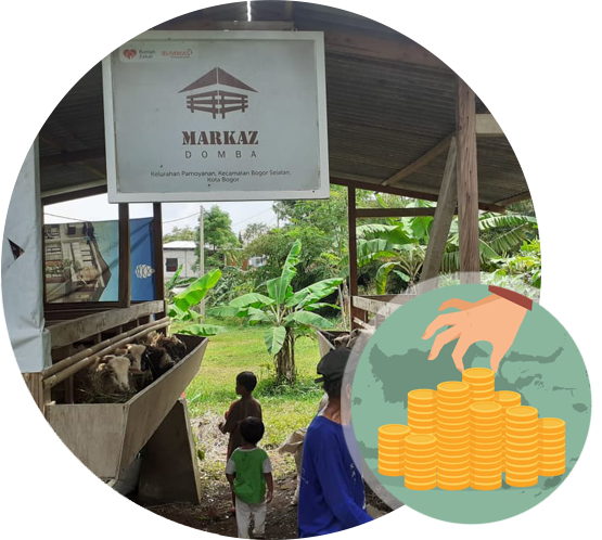 Bagaimana Cara Investasi Ternak Domba | MarkazDomba